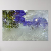 ijsbloesems, poster (Voorkant)