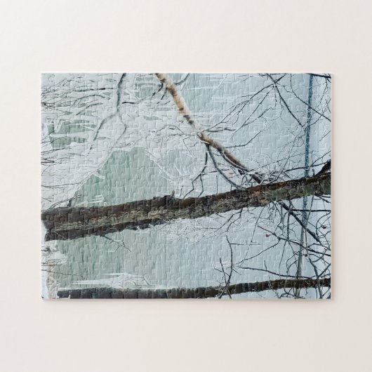 Ijsbomen aan Lake Superior Legpuzzel (Horizontaal)