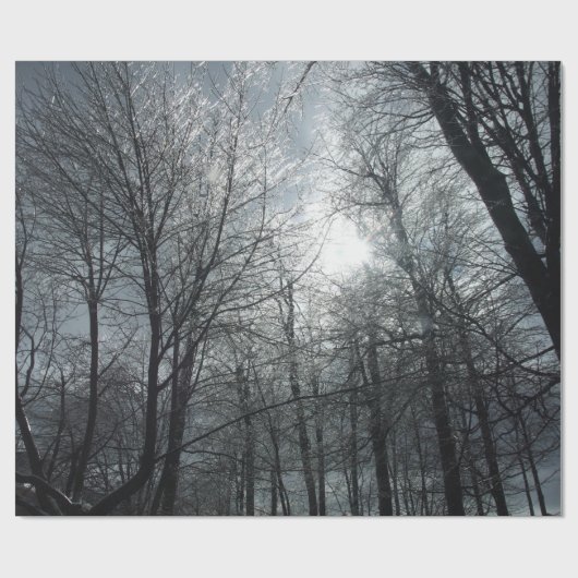 IJsbomen zonnebaden Cadeaupapier (Vlak)