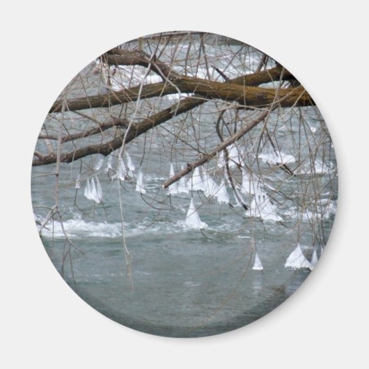 IJsboten Magneet (Voorkant)