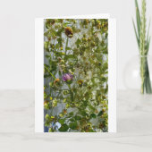 IJsdistel & klaver, Kaart (Voorkant)