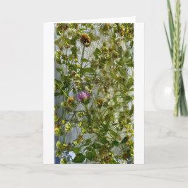 IJsdistel & klaver, Kaart