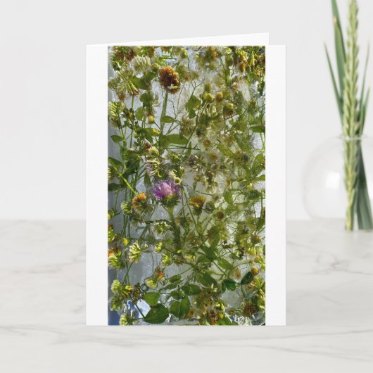 IJsdistel & klaver, Kaart (Voorkant)