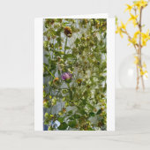 IJsdistel & klaver, Kaart (Gele Bloem)