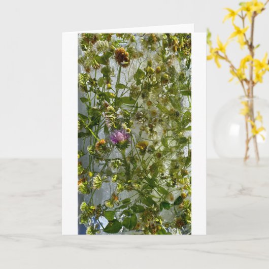 IJsdistel & klaver, Kaart (Gele Bloem)