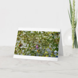 IJsdistel & klaver, Kaart