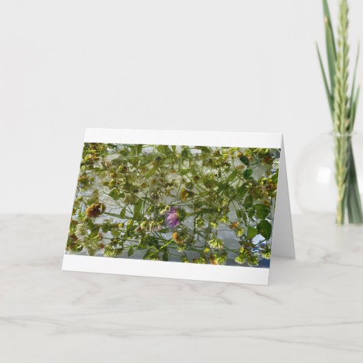 IJsdistel & klaver, Kaart (Voorkant)