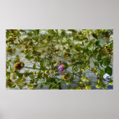 IJsdistel & klaver, Poster (Voorkant)