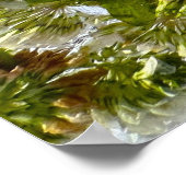 IJsdistel & klaver, Poster (Hoek)