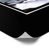 IJsdolfijnen Poster (Hoek)