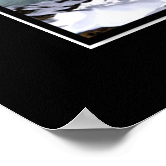 IJsdolfijnen Poster (Hoek)