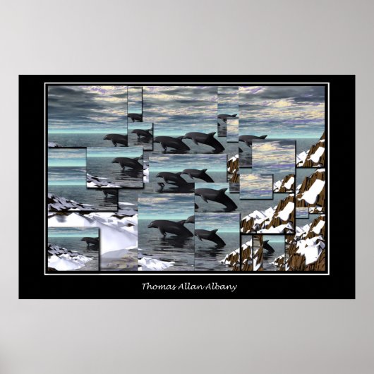 IJsdolfijnen Poster (Voorkant)