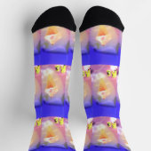 IJSDROOM SOKKEN (Top)