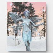 Ijsfee Fotoplaat (Voorkant)