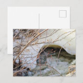 Ijsige Winter Dooi Briefkaart (Voorkant / Achterkant)