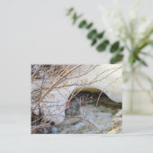 Ijsige Winter Dooi Briefkaart (Staand voorkant)
