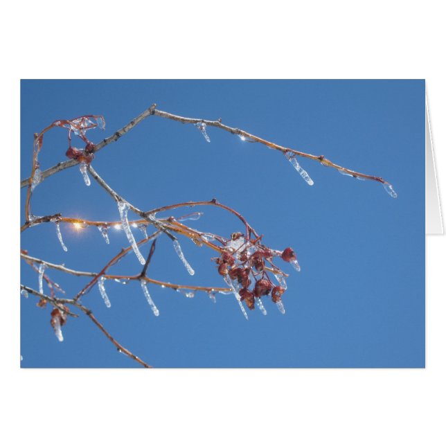 IJsijpels in zonlicht tegen de blauwe hemel (Voorkant Horizontaal)