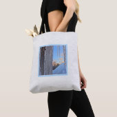 IJsijpels op het Tas Sunrise Shoulder (Dichtbij)
