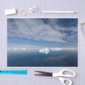 IJsijs in Antarctica Tissuepapier (Craft)