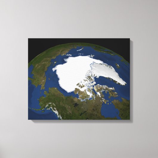 IJsijs van Arctisch zee in 2005 Canvas Afdruk (Voorkant)