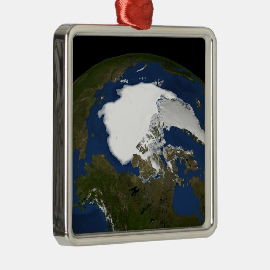 IJsijs van Arctisch zee in 2005 Metalen Ornament (Rechts)