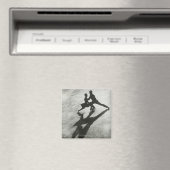 IJskaastpaar Magneet (Insitu (Vaatwasser))