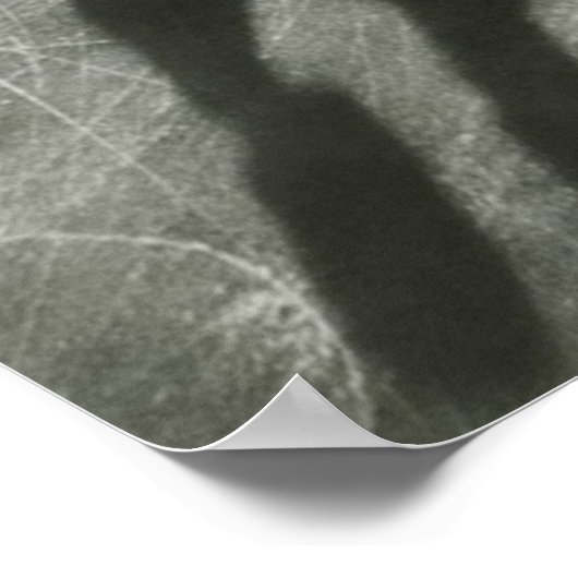 IJskaastpaar Poster (Hoek)