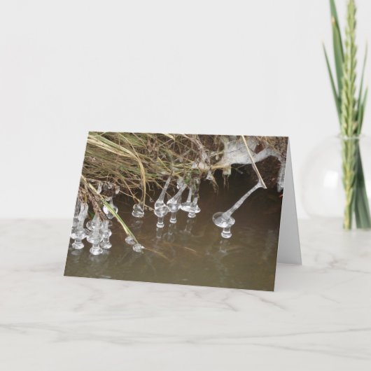 ijskappen feestdagen kaart (Voorkant)