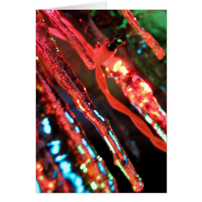 Ijskegels (Voorkant)