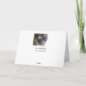 Ijskoud wenskaart Leonberger Kaart (Achterkant)