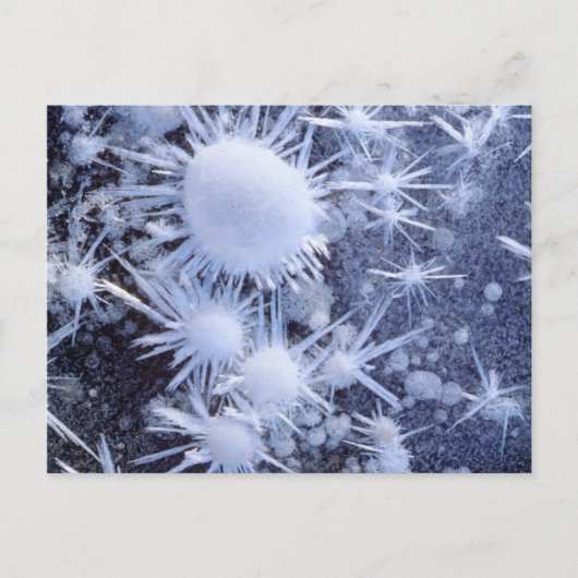 ijskristallen in de Sierra Briefkaart (Voorkant)