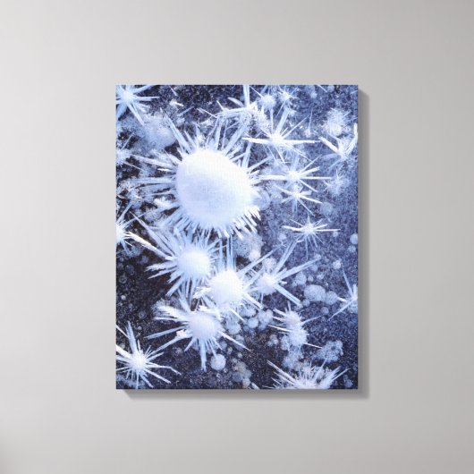 IJskristallen in de Sierra Canvas Afdruk (Voorkant)
