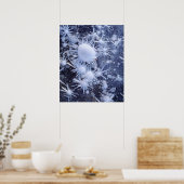 ijskristallen in de Sierra Poster (Keuken)