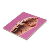 IJskruid op roze ijs Tegeltje (Zijkant)