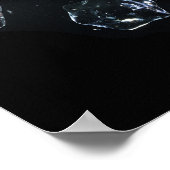 IJskubben die in het water springen Poster (Hoek)