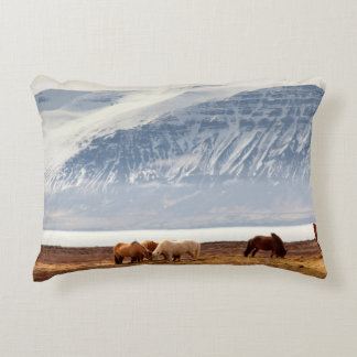 IJSLAND ACCENT KUSSEN