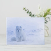 IJsland Arctic Fox (Staand voorkant)