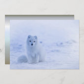IJsland Arctic Fox (Voorkant / Achterkant)