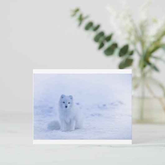 IJsland Arctic Fox Briefkaart (Staand voorkant)