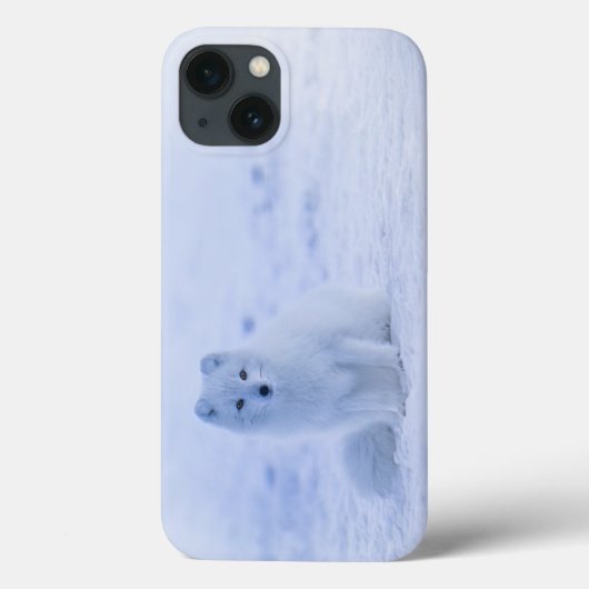 IJsland Arctic Fox Case-Mate iPhone Case (Achterkant)