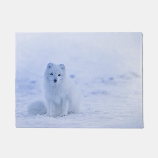 IJsland Arctic Fox Deurmat (Voorkant)