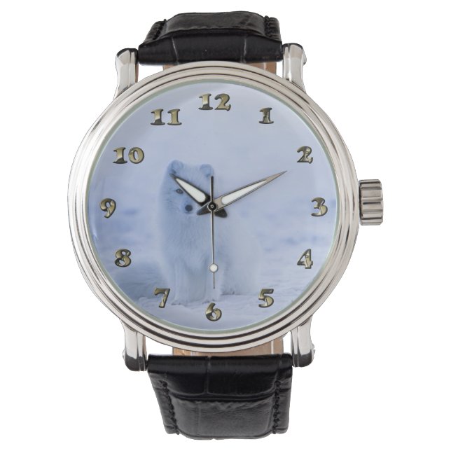 IJsland Arctic Fox Horloge (Voorkant)
