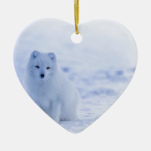 IJsland Arctic Fox Keramisch Ornament (Voorkant)