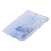 IJsland Arctic Fox Magneet (Linkerzijde)