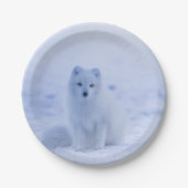 IJsland Arctic Fox Papieren Bordje (Voorkant)