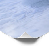 IJsland Arctic Fox Poster (Hoek)