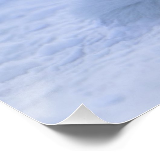 IJsland Arctic Fox Poster (Hoek)