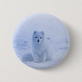 IJsland Arctic Fox Ronde Button 5,7 Cm (Voorkant)