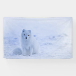 IJsland Arctic Fox Spandoek