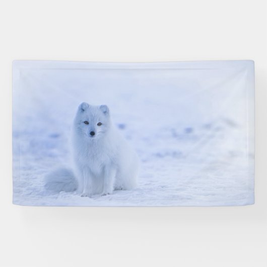 IJsland Arctic Fox Spandoek (Horizontaal)